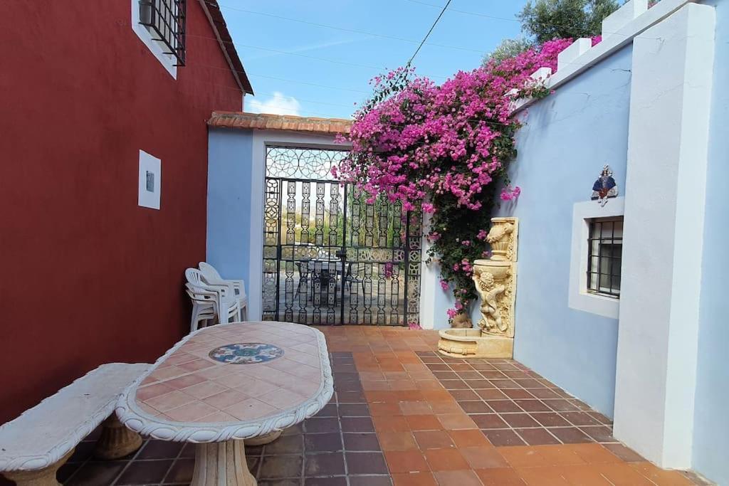 Villa Oasis De Ifre Caserío Cañada de Gallego Exterior foto