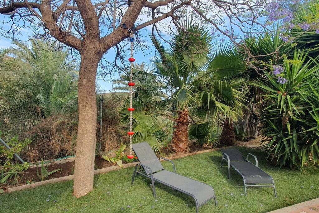 Villa Oasis De Ifre Caserío Cañada de Gallego Exterior foto